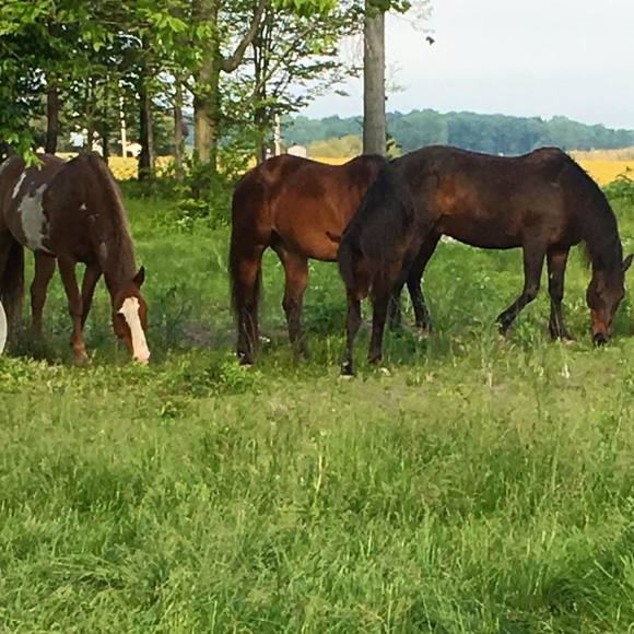 Meet your Posher, Tracy - Picture 1 of 1